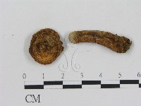 登錄號:F0002613藏品圖，第3張