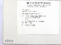 登錄號:F0002615藏品圖，第2張