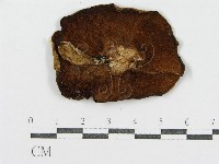 登錄號:F0002617藏品圖，第3張