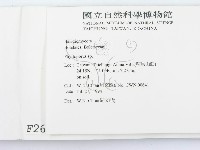 登錄號:F0002618藏品圖，第2張