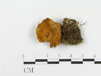 登錄號:F0002618藏品圖，第3張