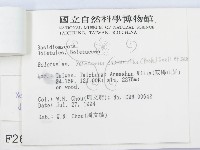 登錄號:F0002619藏品圖，第3張