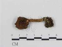 登錄號:F0002622藏品圖，第1張