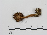登錄號:F0002622藏品圖，第3張