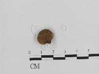 登錄號:F0002625藏品圖，第1張