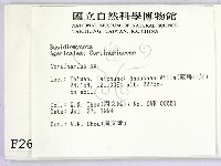 登錄號:F0002627藏品圖，第2張