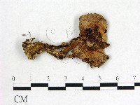 登錄號:F0002627藏品圖，第1張
