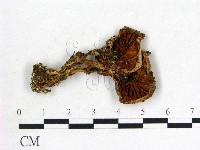 登錄號:F0002627藏品圖，第3張
