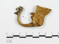 登錄號:F0002628藏品圖，第1張