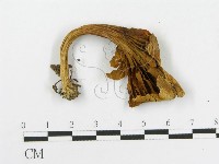 登錄號:F0002628藏品圖，第3張
