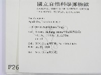 登錄號:F0002629藏品圖，第2張