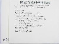 登錄號:F0002632藏品圖，第2張