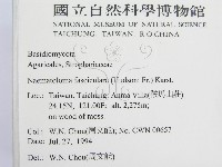 登錄號:F0002633藏品圖，第2張