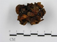 登錄號:F0002633藏品圖，第1張