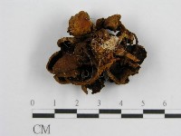 登錄號:F0002633藏品圖，第4張