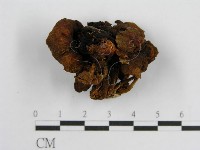 登錄號:F0002633藏品圖，第5張