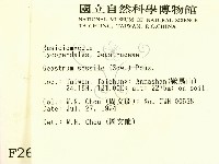 登錄號:F0002634藏品圖，第2張