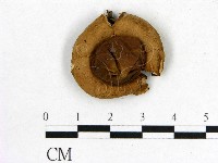 登錄號:F0002634藏品圖，第1張