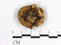 登錄號:F0002634藏品圖，第3張