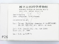 登錄號:F0002636藏品圖，第2張