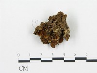 登錄號:F0002636藏品圖，第1張