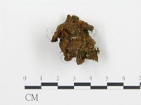 登錄號:F0002636藏品圖，第3張