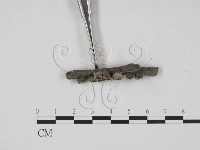 登錄號:F0002637藏品圖，第3張