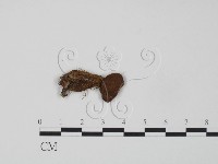 登錄號:F0002640藏品圖，第3張