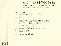 登錄號:F0002642藏品圖，第2張