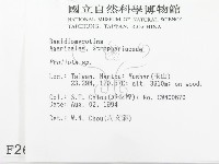 登錄號:F0002644藏品圖，第2張