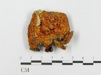 登錄號:F0002644藏品圖，第3張