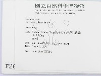 紅菇屬藏品圖，第2張