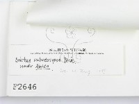 登錄號:F0002646藏品圖，第3張