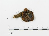 登錄號:F0002646藏品圖，第1張