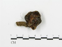 登錄號:F0002646藏品圖，第4張