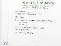 登錄號:F0002649藏品圖，第2張