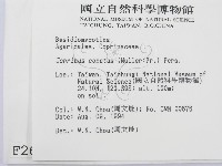 登錄號:F0002650藏品圖，第2張