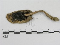 登錄號:F0002650藏品圖，第3張