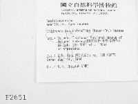 登錄號:F0002651藏品圖，第3張