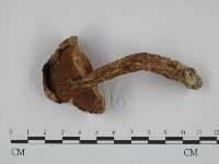 登錄號:F0002652藏品圖，第1張