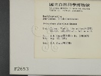 登錄號:F0002653藏品圖，第2張