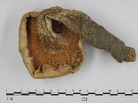 登錄號:F0002653藏品圖，第3張