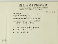 登錄號:F0002654藏品圖，第2張