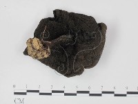 登錄號:F0002655藏品圖，第3張