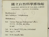 革菌屬藏品圖，第2張