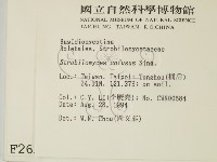 登錄號:F0002658藏品圖，第2張
