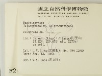 登錄號:F0002659藏品圖，第2張