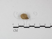 登錄號:F0002659藏品圖，第3張