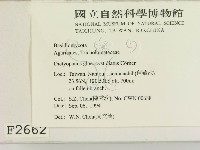 登錄號:F0002662藏品圖，第2張