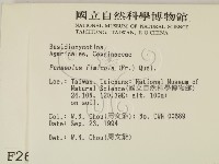 登錄號:F0002663藏品圖，第2張